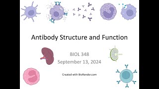 Immunology Fall 2024 Lecture 9 Antibody Structure and Function [upl. by Mapel850]