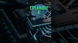 What is Explainable AI xai [upl. by Akiemat4]