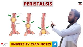 Peristalsis  Digestive System physiology MBBS  BDS  BMLT  DMLT  Nursing lecturers [upl. by Nwahs]