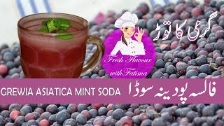 Falsadrinkspecial Grewia Asiatica Mint Drink Refreshing Drink Fresh Flavour with Fatima falsasoda [upl. by Adila]