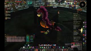 WoW WotLK Trial of the Crusader Beasts of Northrend 10N Cat POV [upl. by Salomi]