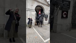 Get behind the Bollards changing Guards history royalhorseguard horse [upl. by Atselec]