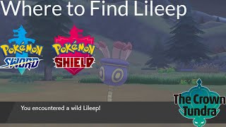 Pokemon Sword and Shield  Where to Find Lileep [upl. by Fattal]