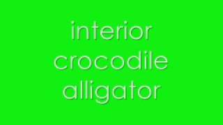 interior crocodile alligator FULL SONG [upl. by Chatav]