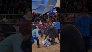 JARIPEO EXTREMO MONTA DRAMÁTICA😱💥 jaripeo shorts [upl. by Cindee]