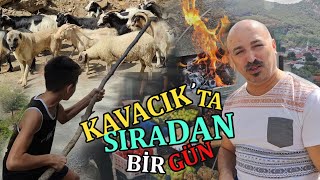 Kavacık Köyünde Sıradan Bir Gün [upl. by Riplex974]