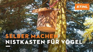 Nistkasten für Vögel mit der Kettensäge bauen  Anleitung [upl. by Atul]