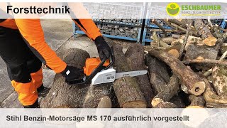 Stihl BenzinMotorsäge MS 170 ausführlich vorgestellt und im Einsatz [upl. by Scheider]