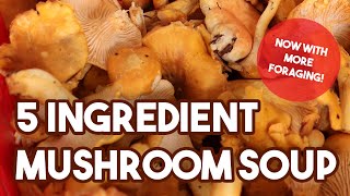 Five Ingredient Mushroom Soup with Foraged Chanterelles [upl. by Tennek]