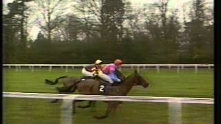 1993 Reynoldstown Novices Chase [upl. by Lotte]