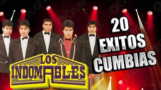 Los Indomables Mix 20 Exitos Cumbias Seleccionadas [upl. by Yreneh567]