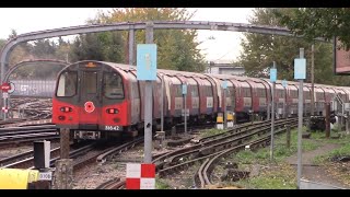 London Underground  Victoria amp Northern Line 8th November 2024 [upl. by Llewxam]