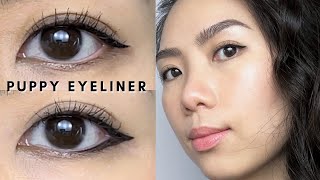 2 Ways to Wear PUPPY EYELINER  Best Eyeliner for SuperHooded Eyes amp Monolids Beginner Friendly [upl. by Nylave526]