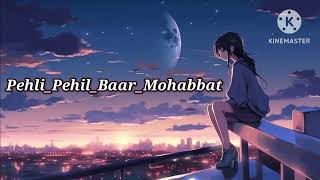 Pehli Pehli Baar Mohabbat Ki Hai lofi song [upl. by Lomasi19]