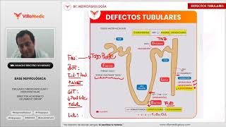 RM 2024 Nefrología3 Resumen fisiología renal diuréticos defectos tubulares autorregulación renal [upl. by Reeher]