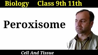 Peroxisome  Structure and functions of Peroxisome  Cell organelles  Class 9 and 11 [upl. by Ennirroc]