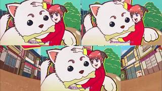 Gintama Opening 16 All Version comparison [upl. by Christoper391]