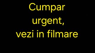 Diferenta dintre hrana albinelor si mierea pentru vanzare [upl. by Romine]