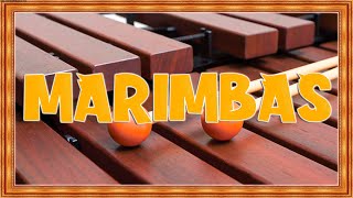 Las Mejores Marimbas Orquestas  Marimba Mix  Marimba La Reyna De Chiapas  Cumbia Mix Marimba [upl. by Zulema722]