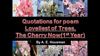 15 quotations for Loveliest of TreesThe Cherry Now 11th Class English Book 3 Hafsa Mehreen [upl. by Nil]