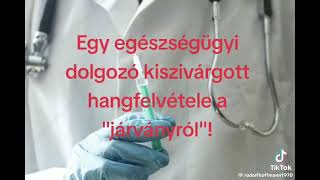 Egy egészségûgyi dolgozo kiszivàrgott hangfelvétele [upl. by Filemon572]