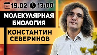 Константин Северинов Тесты на отцовство криминалистика и геном [upl. by Yenot944]