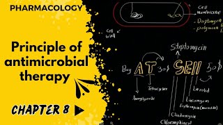 فارما  جابتر 8  شرح مهم متطور لفهم المضادات الحيوية  principle of antimicrobial therapy [upl. by Isla605]