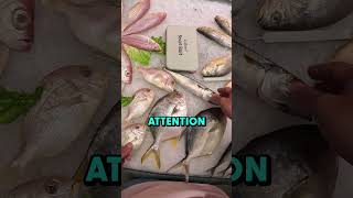 Vibrators In Fish 😱 [upl. by Aititel]