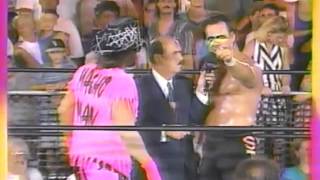 9 Gene Overland talking about Hulk Hogan going to the NWO Sting Interview [upl. by O'Kelly233]