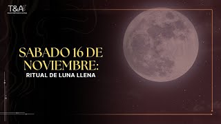 Ceremonia con la luna llena Exclusiva VIP Sábado 16 de noviembre [upl. by Niall]