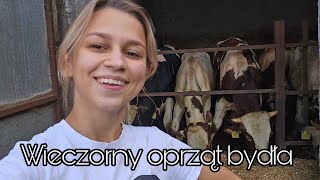 ★Wieczorny oprząt krów i byków★Codzienne obowiązki na Kaszubach★ [upl. by Ro258]