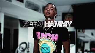 Bris  Need Hammy Official Music Video [upl. by Norvin]