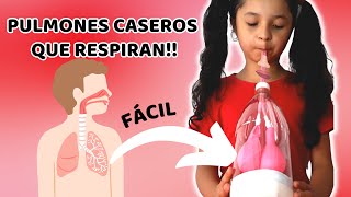 CÓMO HACER UNA MAQUETA DE PULMONES CASEROS QUE RESPIRAN  2 IDEAS FÁCILES [upl. by Mandel]