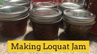 Making Loquat Jam [upl. by Nimajeb]