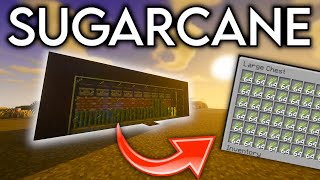 Minecraft Simple AUTO Sugarcane Farm in 117 Java [upl. by Mulloy]