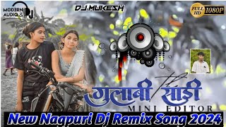 गुलाबीसाड़ीलालीलालGulabiSadiLaleeLalSingerChintaDevi New Nagpuri Dj Remix Song Dj Mukesh [upl. by Bal]