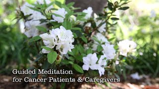 Guided Meditation for Cancer Patients and Caregivers HD [upl. by Staci]