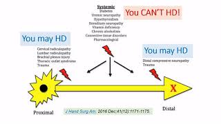 《USG Pain Hydrodissections》 Part 2 Not Just One [upl. by Adnaral]