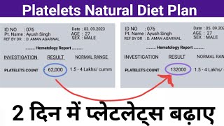 2 दिन में प्लेटलेट्स बढ़ाए  Platelets Count  प्लेटलेट्स बढ़ाने का Natural Diet plan [upl. by Gnal]