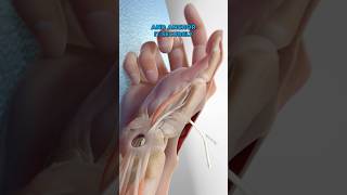 Basal Joint Surgery 3D Animation [upl. by Whitelaw475]