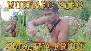 SURVIVAL STRATEGY  EATING GMELINA FRUIT SUPER DELICIOUS [upl. by Akcemat326]