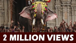 Thechikottukavu Ramachandran Mass Entry at Thrissur Pooram  4K Video ARN MEDIA [upl. by Gnuh771]