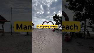 Mangrove Beach Resort ksdaily travel travelfoodblog resort travelvlog foryou viral short [upl. by Asseram]