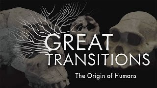 Great Transitions The Origin of Humans — HHMI BioInteractive Video [upl. by Haddad]