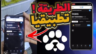 تطبيقيا طريقة إنجاز مهمة PAWS الجديدة Mistery Quest🙃 اليوم 20112024 [upl. by Rann]