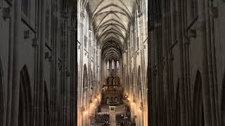 Halberstadt Orgel Andacht [upl. by Jedthus147]