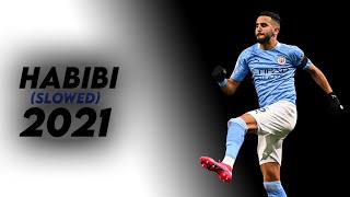 Habibi Albanian RemixSlowed  Riyad Mahrez 2021  HD [upl. by Marquardt]