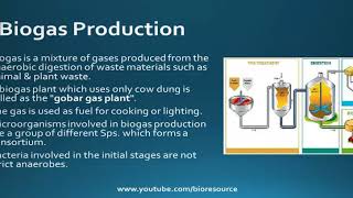 Biogas Methane Production  Process Applications Advantages and Disadvantages [upl. by Aillil]