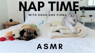 Nap Time ASMR with Doug and Fiona I steal her bed [upl. by Tevlev501]