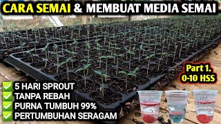 🔴 CARA SEMAI amp MEMBUAT MEDIA SEMAI CABE TOMAT MELON TERONG petanicabesubang infopertaniancabe [upl. by Airan339]